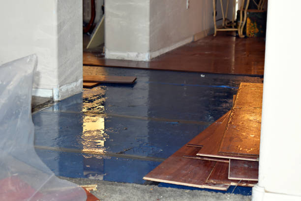 Professional Basement Flood Cleanup technician working in Black Diamond, WA